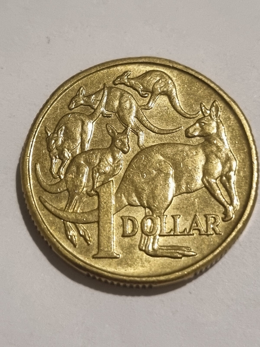 1994 1 Dollar Coin - Mob of Roos - Shiny Circulated Condition