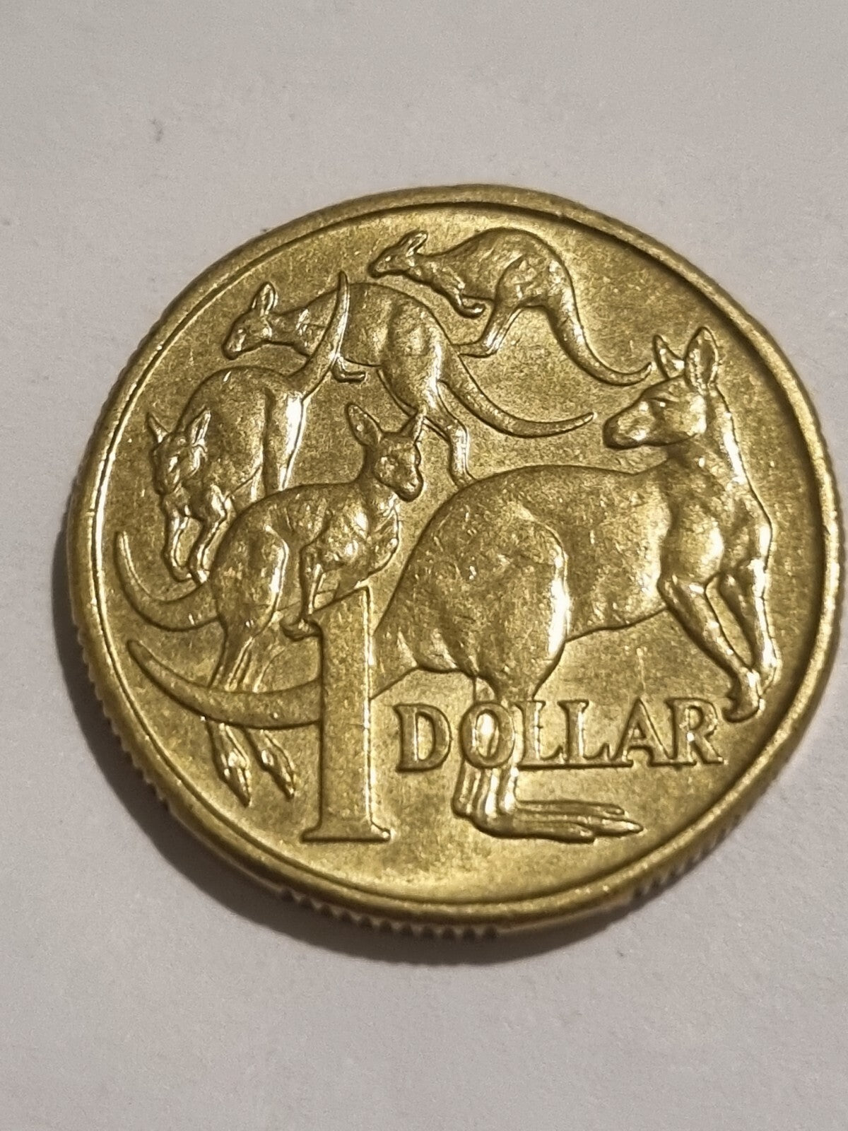 1994 1 Dollar Coin - Mob of Roos - Shiny Circulated Condition