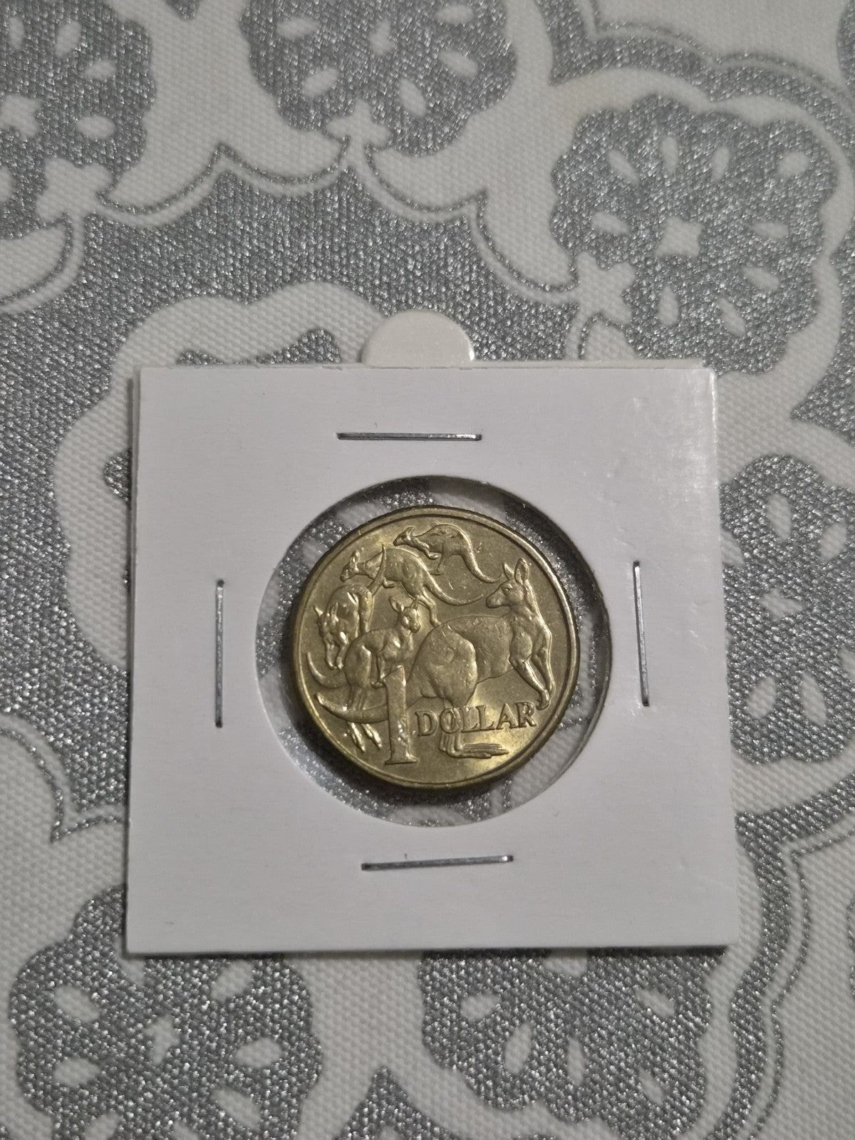 2017 One Dollar Coin - $1 - Mob of Roos