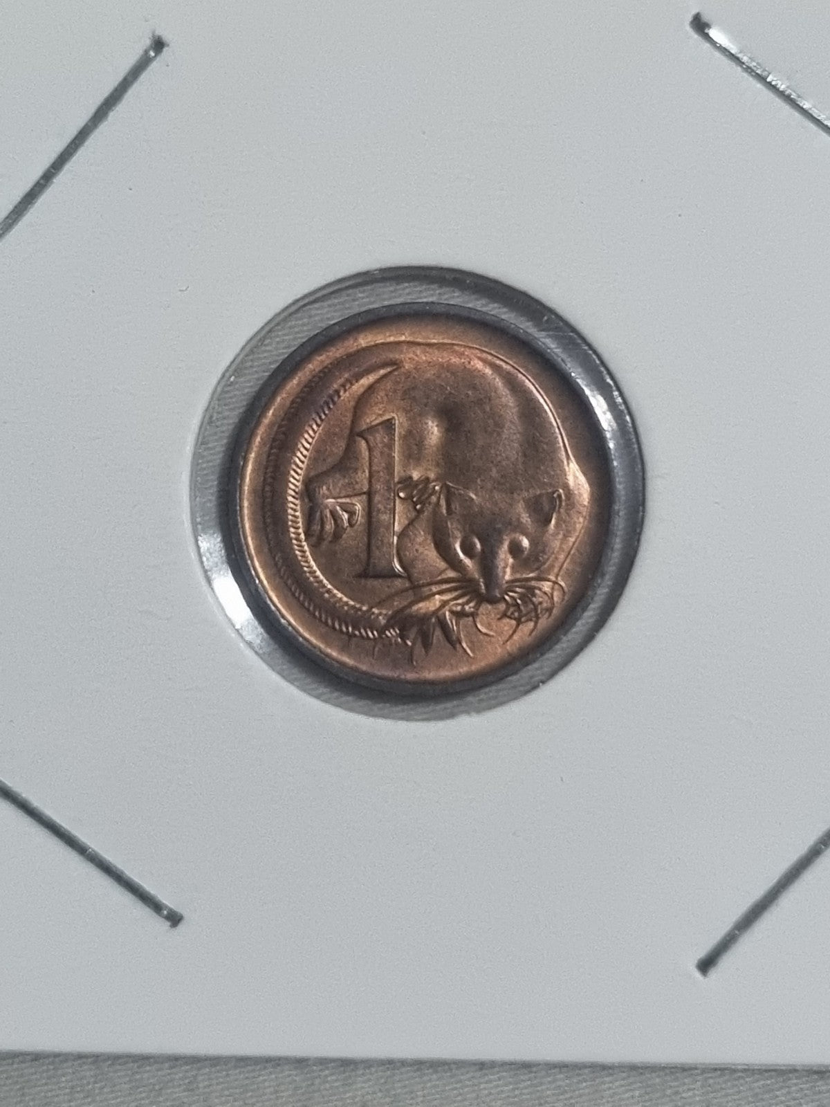 1988 Australian 1 Cent Coin Uncirculated Condition