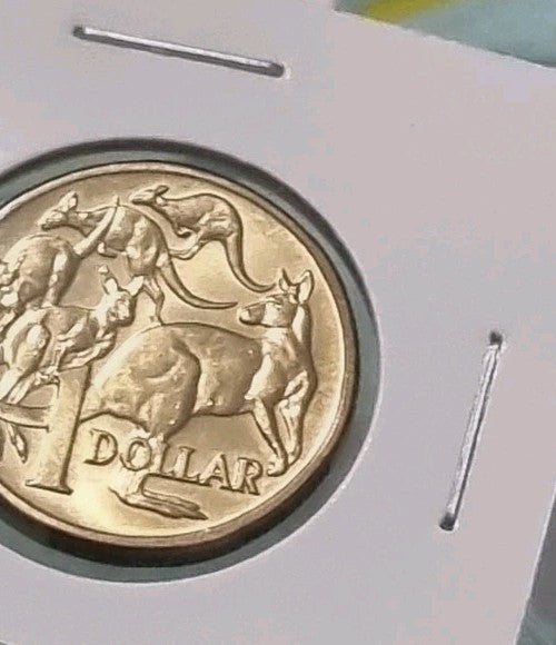UNC 2006 Mob Of Roos One Dollar In 2x2 Holder 