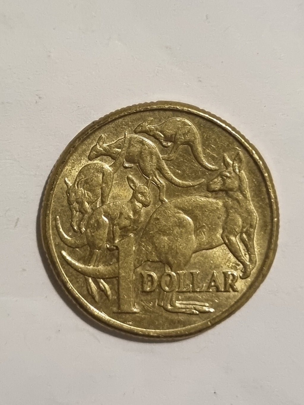 2018 IRB 2019 IRB 2020 JC 1 DOLLAR COINS   $1 -  MOB OF ROOS 