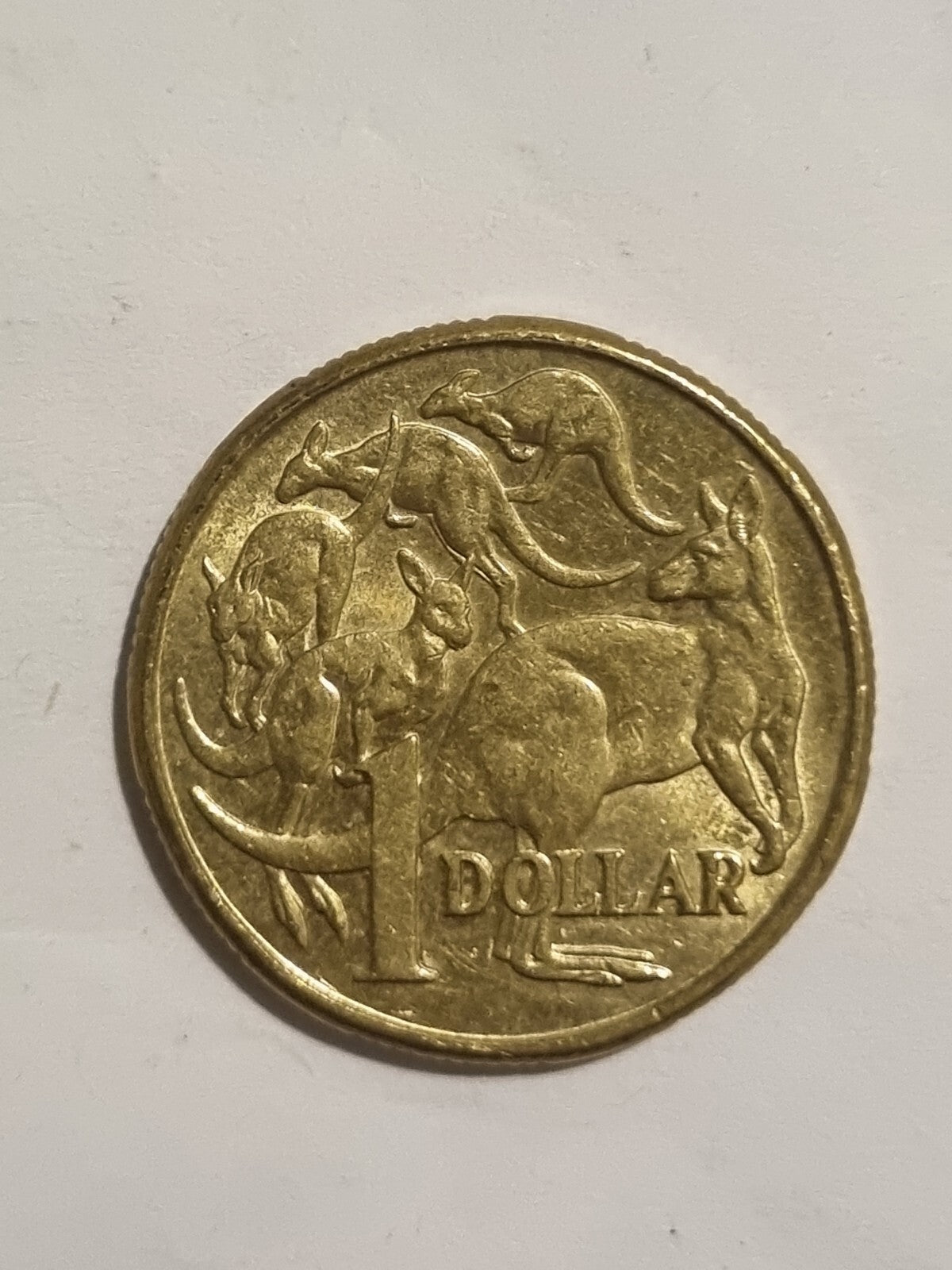2018 IRB 2019 IRB 2020 JC 1 DOLLAR COINS   $1 -  MOB OF ROOS 