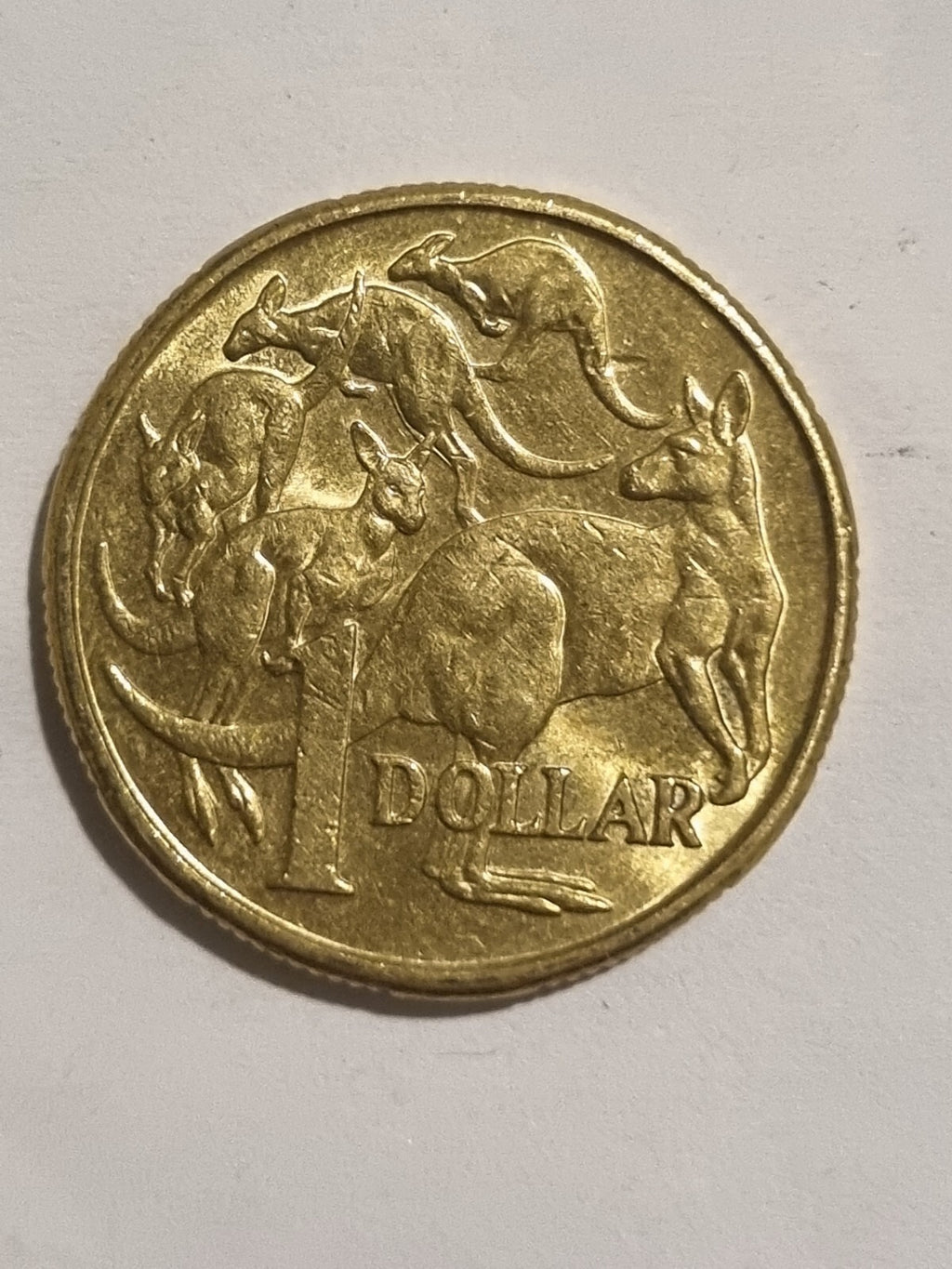2018 IRB 2019 IRB 2020 JC 1 DOLLAR COINS   $1 -  MOB OF ROOS 