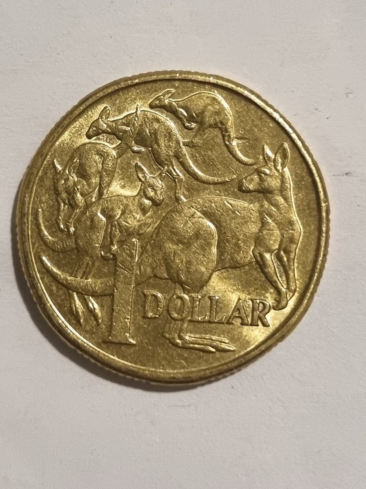 2018 IRB 2019 IRB 2020 JC 1 DOLLAR COINS   $1 -  MOB OF ROOS 