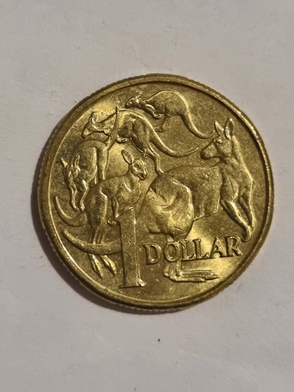 2018 IRB 2019 IRB 2020 JC 1 DOLLAR COINS   $1 -  MOB OF ROOS 