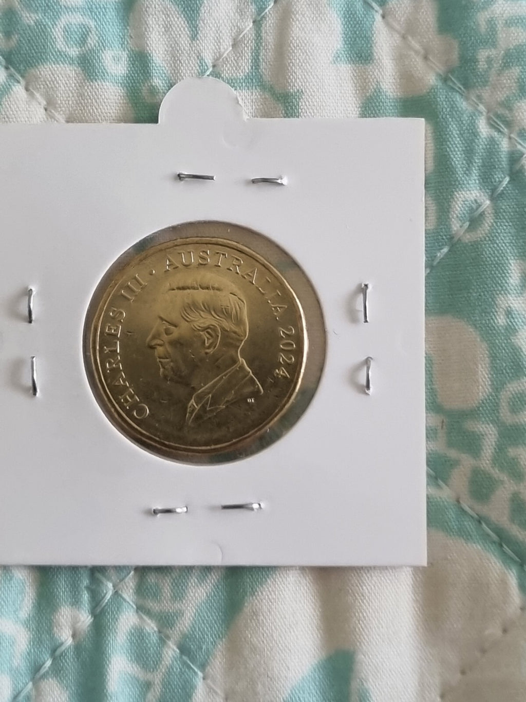 2024 Bluey Bingo $1 Dollar Buck Coin - Lightly Circulated 