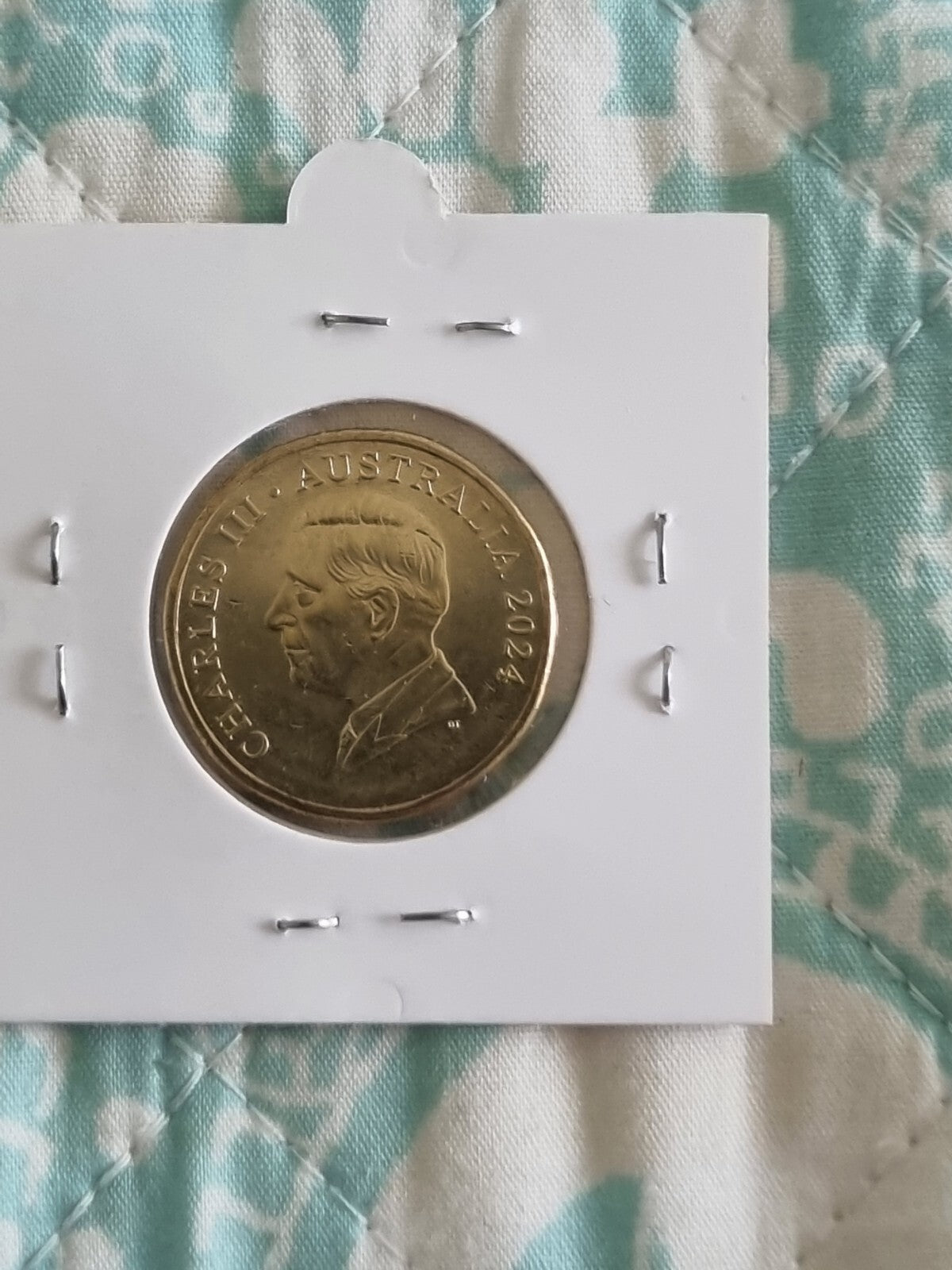 2024 Bluey Bingo $1 Dollar Buck Coin - Lightly Circulated 