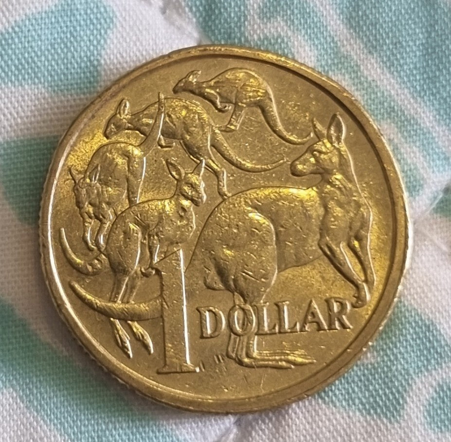 2018 Rim Error - One Dollar $1 Coin 