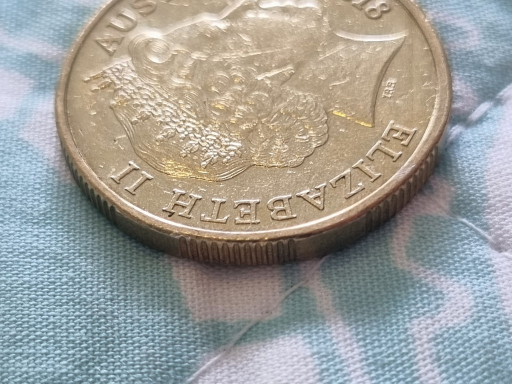2018 Rim Error - One Dollar $1 Coin 