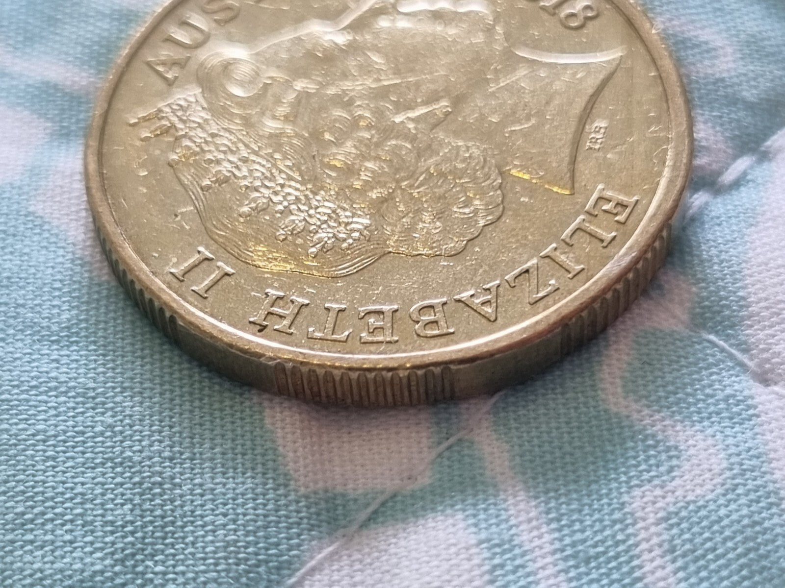 2018 Rim Error - One Dollar $1 Coin 