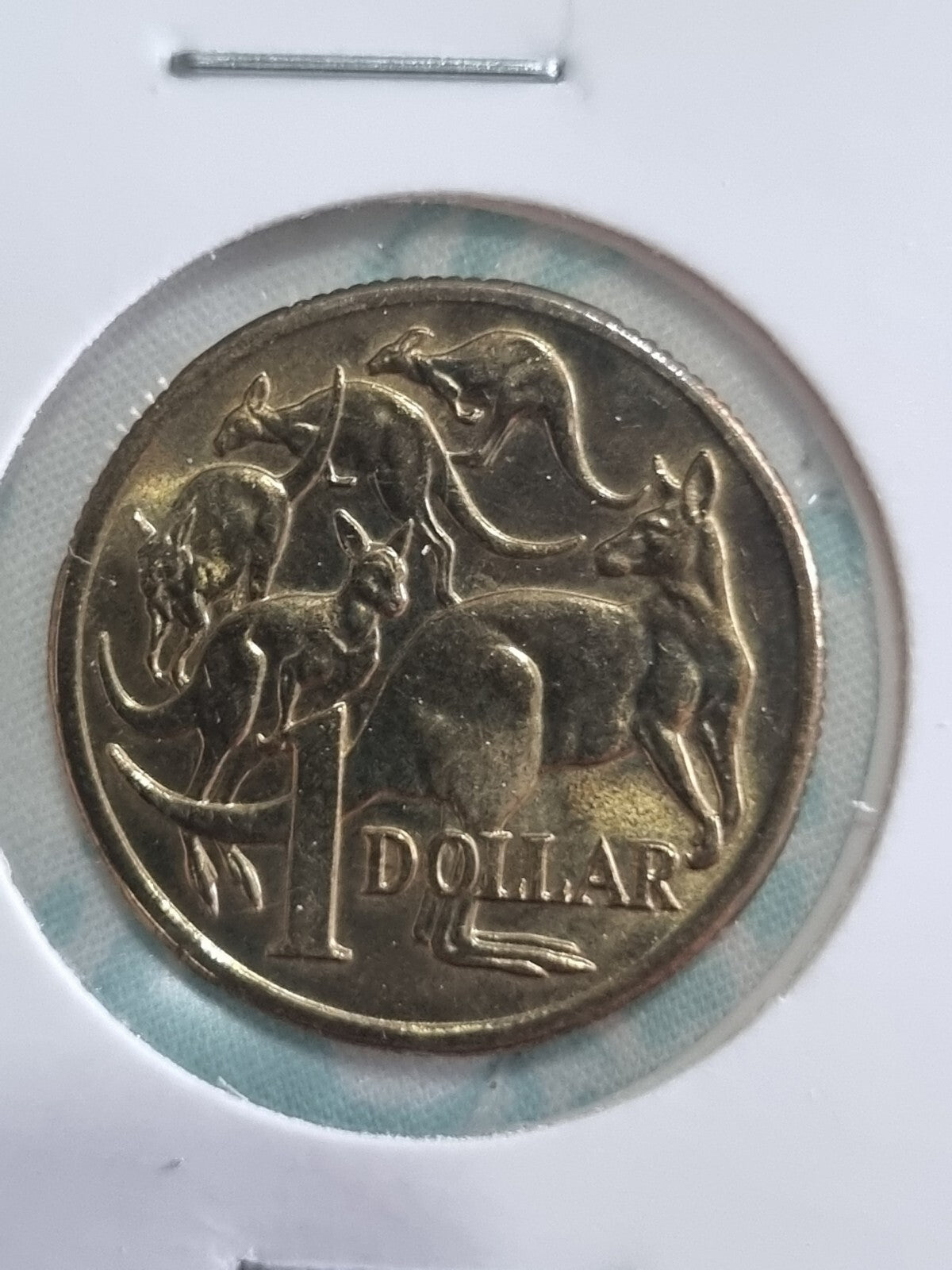 UNC 2006 Mob Of Roos One Dollar In 2x2 Holder - $1 