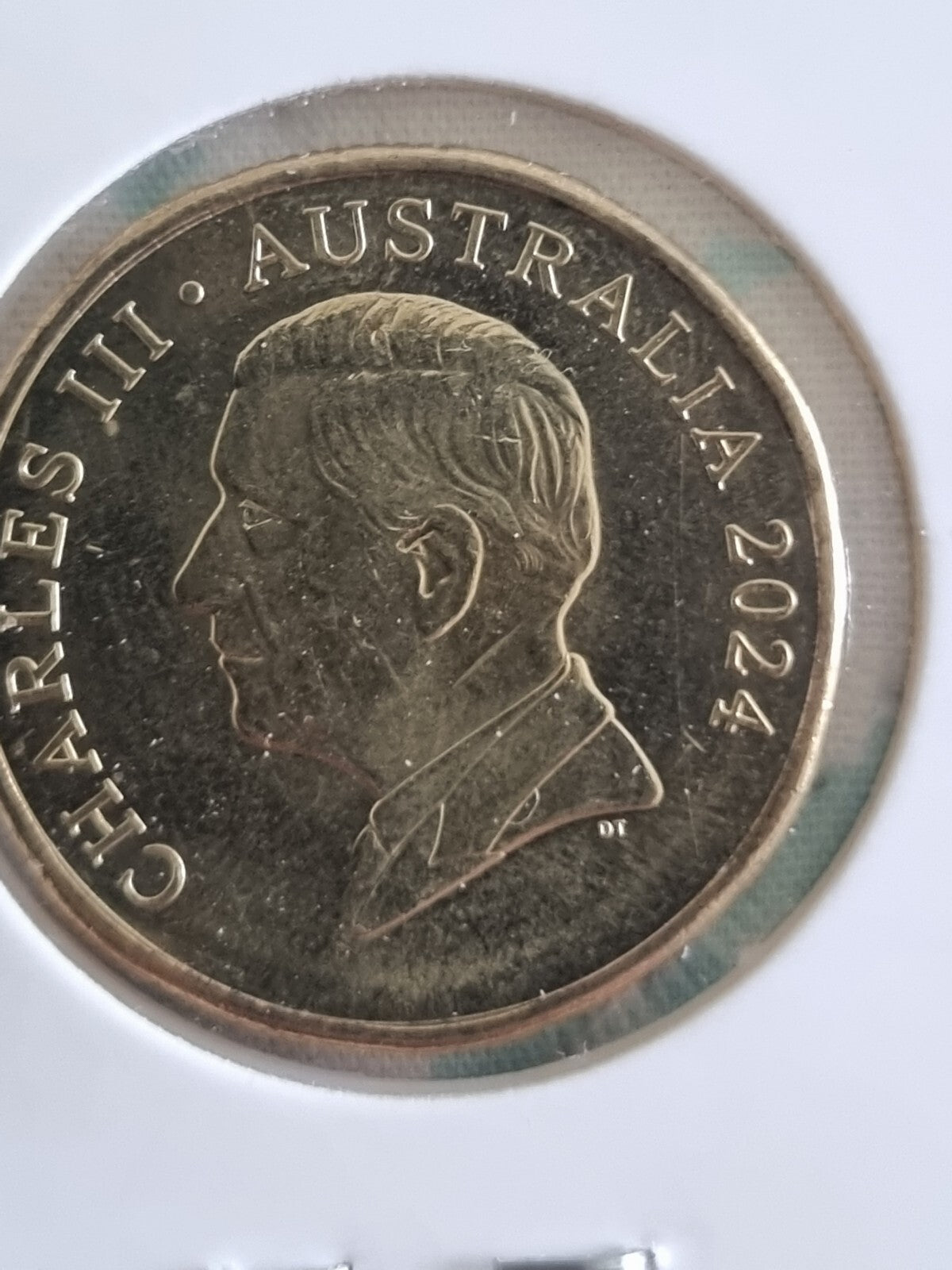 2024 Bluey Bingo $1 Dollar Buck Coin - Lightly Circulated 