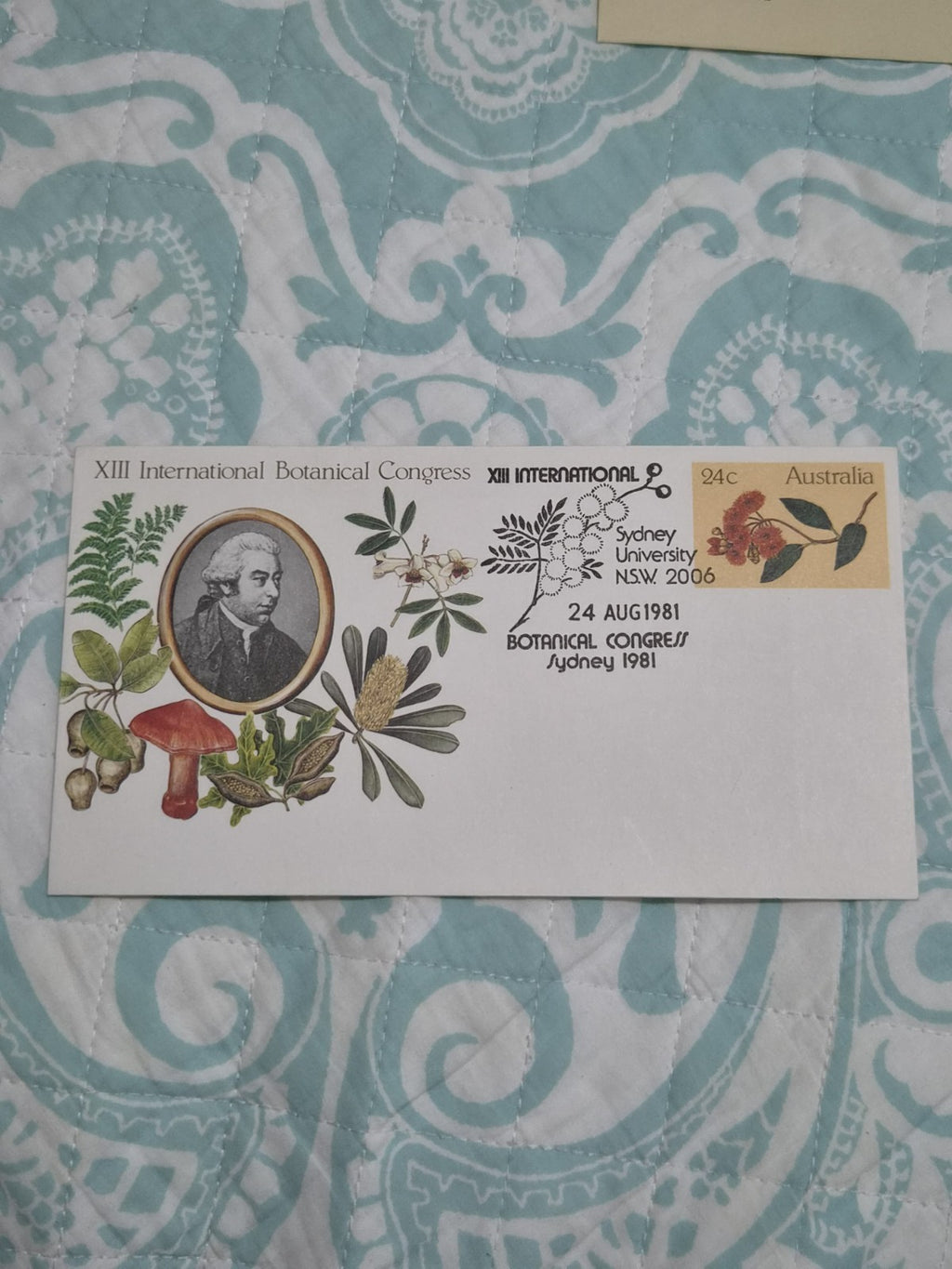 1981 XIII international botanical congress PSE