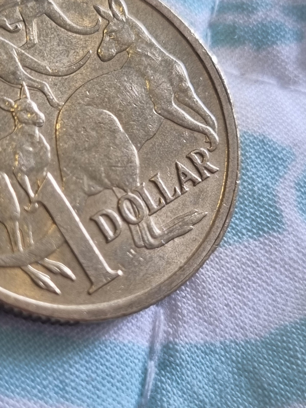 2018 Rim Error - One Dollar $1 Coin 