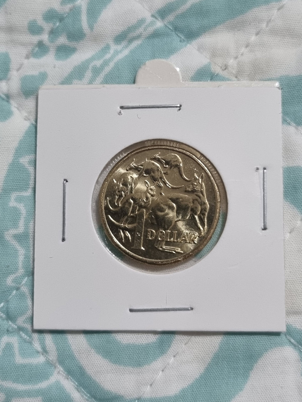 2022 UNC One Dollar Coin Mob Of Roos