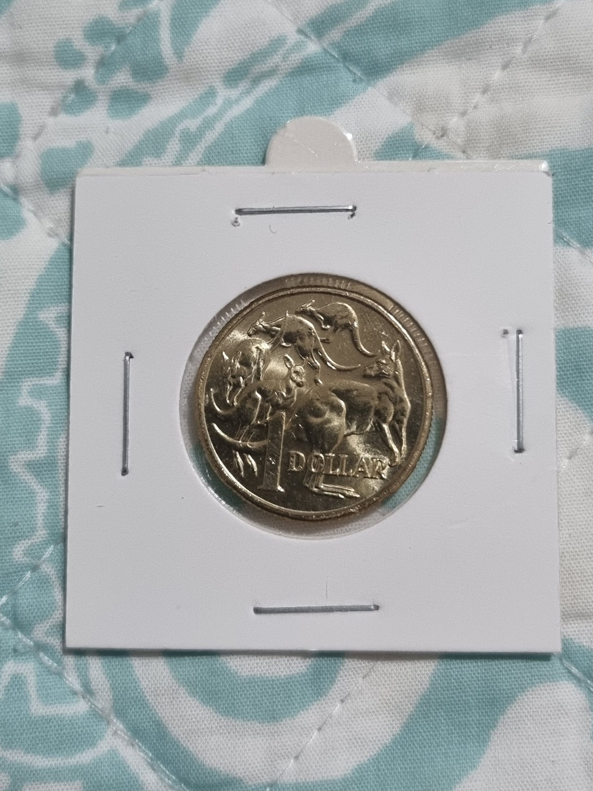2022 UNC One Dollar Coin Mob Of Roos