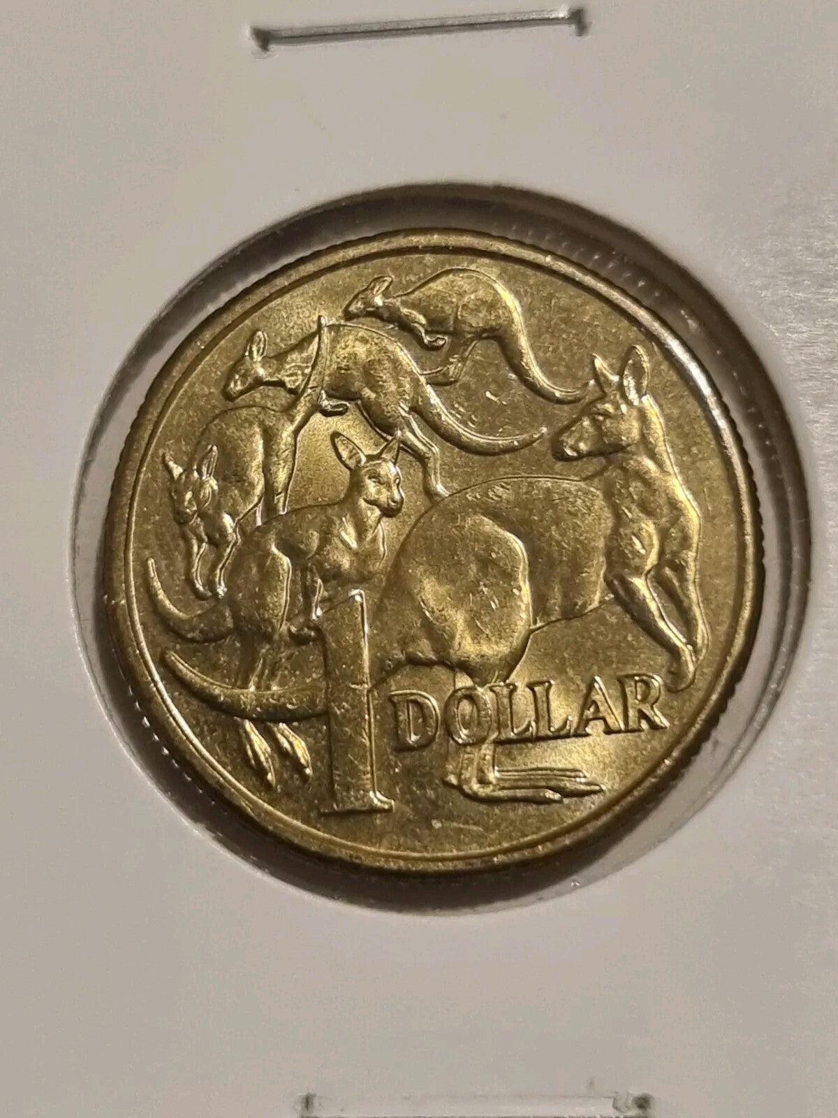 2016  UNC $1  DOLLAR MOB OF ROOS - UNC FROM BAG