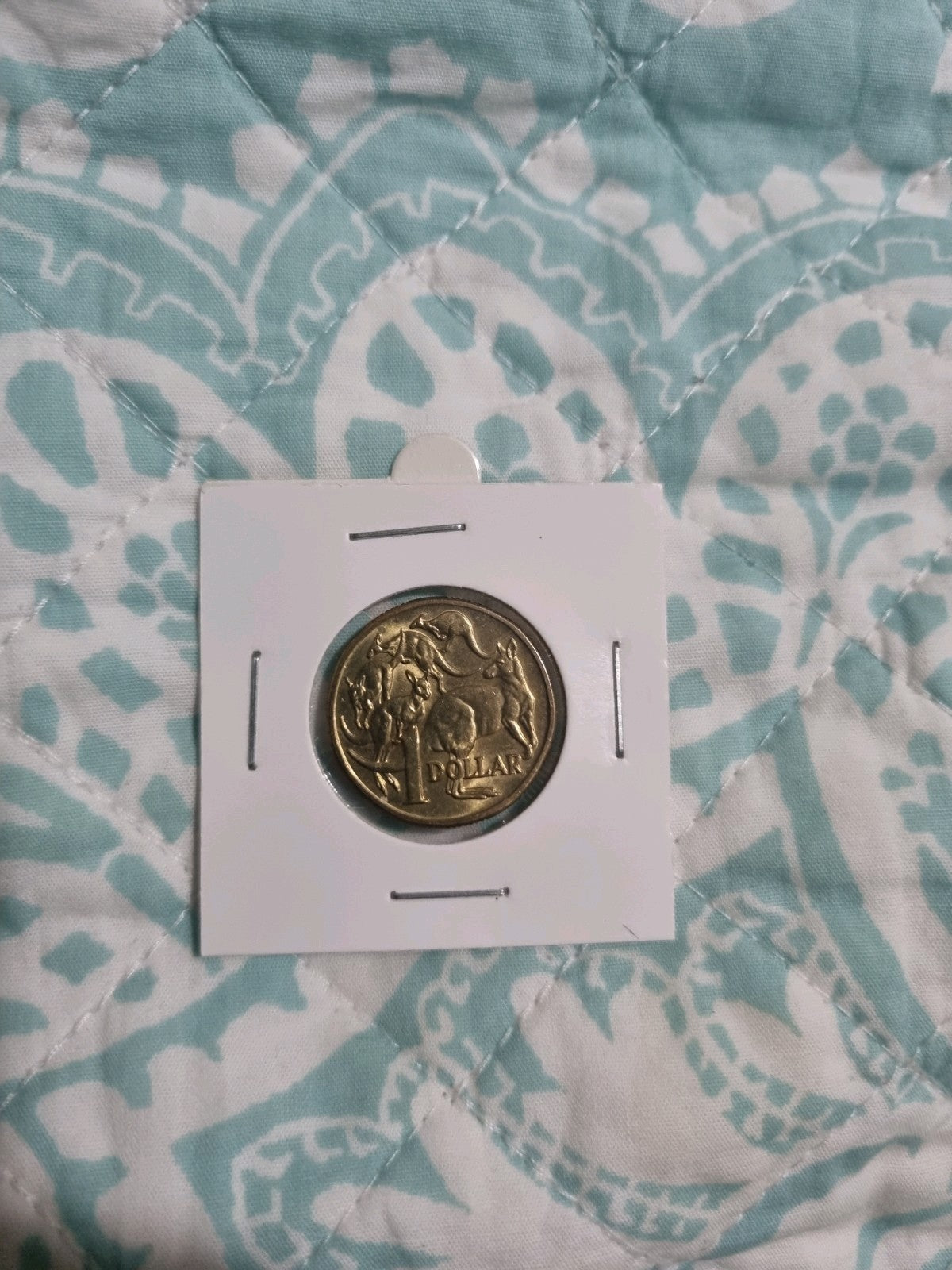 UNC 2006 Mob Of Roos One Dollar In 2x2 Holder 