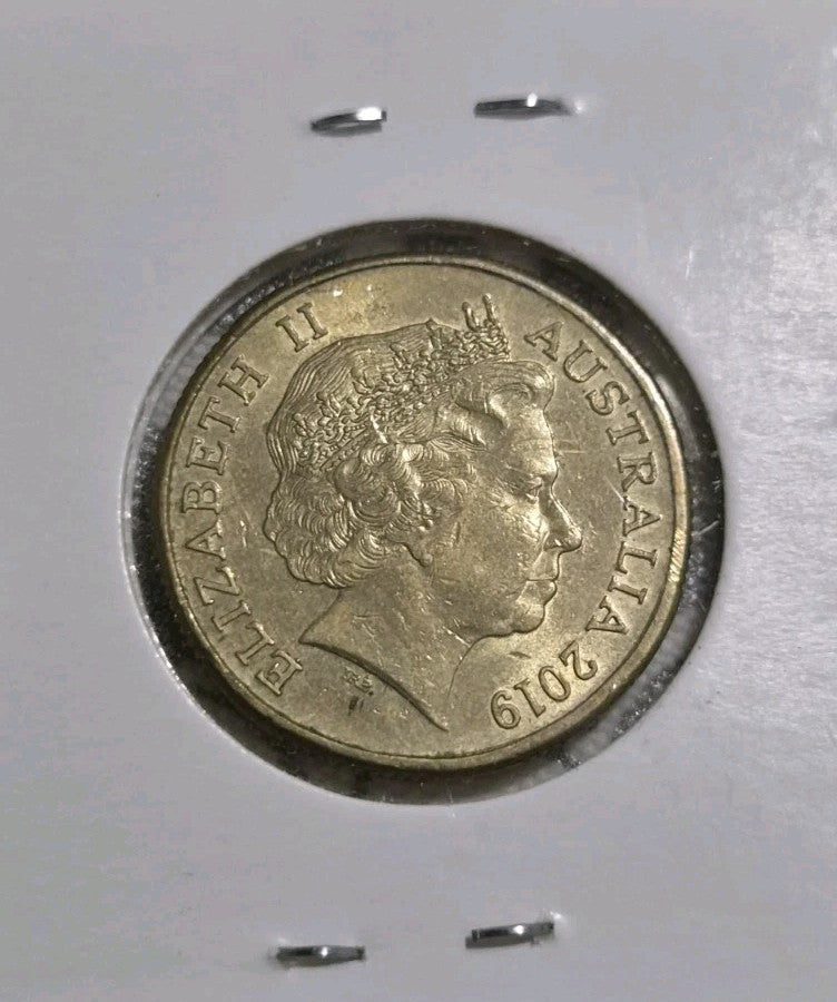2019 $1 Dollar Coin U Privy - Shiny Circulated 