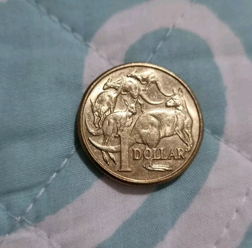 2017 1 Dollar Coin - $1 - Mob of Roos - Great Circulated 