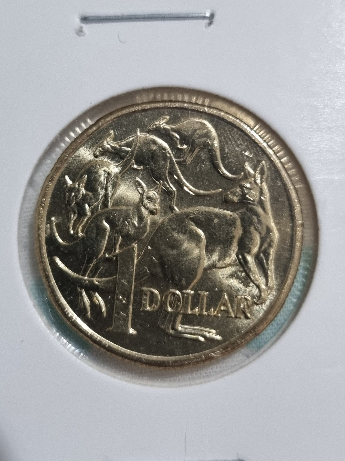 2022 UNC One Dollar Coin Mob Of Roos