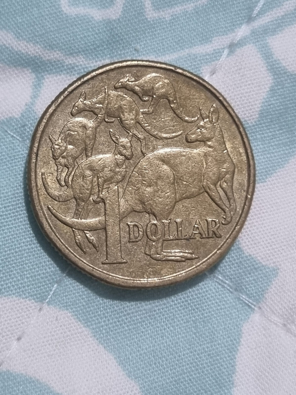  2008 Error $1 CUD One Dollar MOR MOB OF ROOS - Rabbit Ears