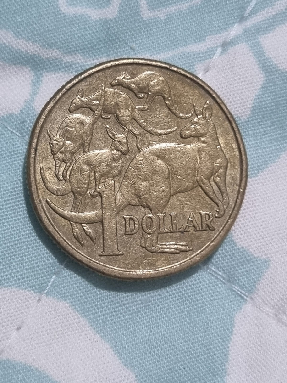  2008 Error $1 CUD One Dollar MOR MOB OF ROOS - Rabbit Ears