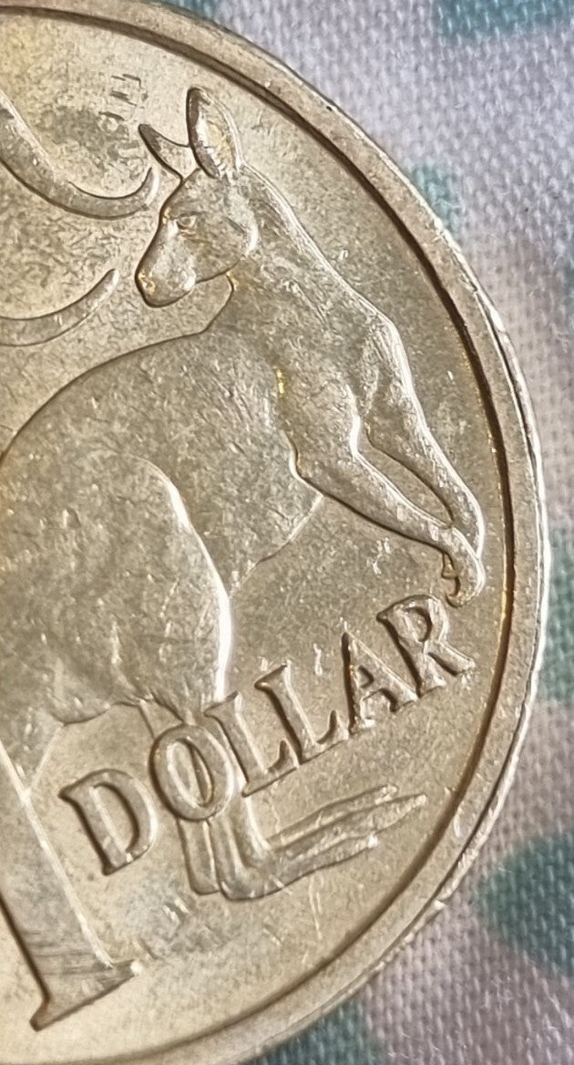 2018 Rim Error - One Dollar $1 Coin 