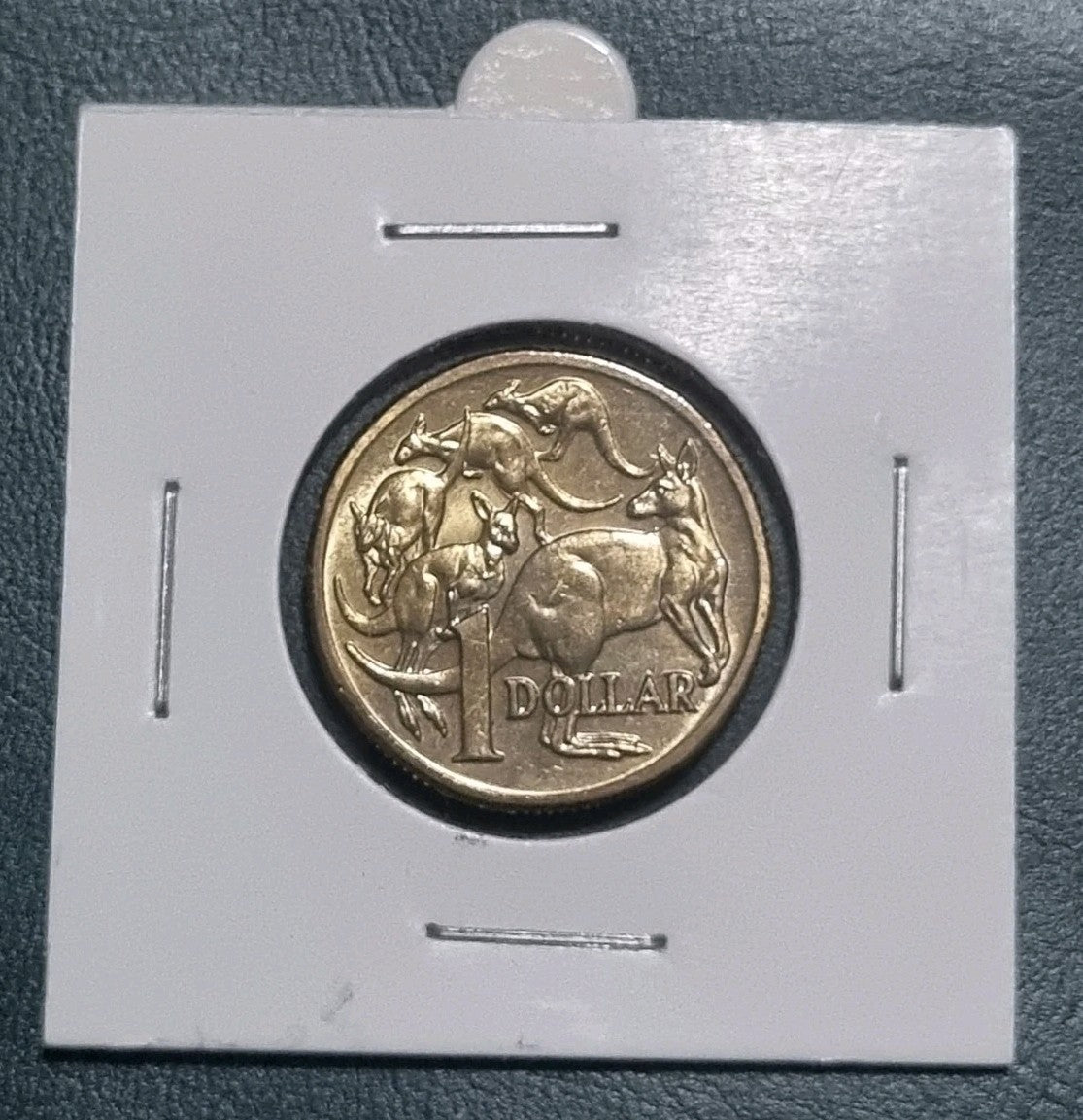 UNC 2006 Mob Of Roos One Dollar In 2x2 Holder 