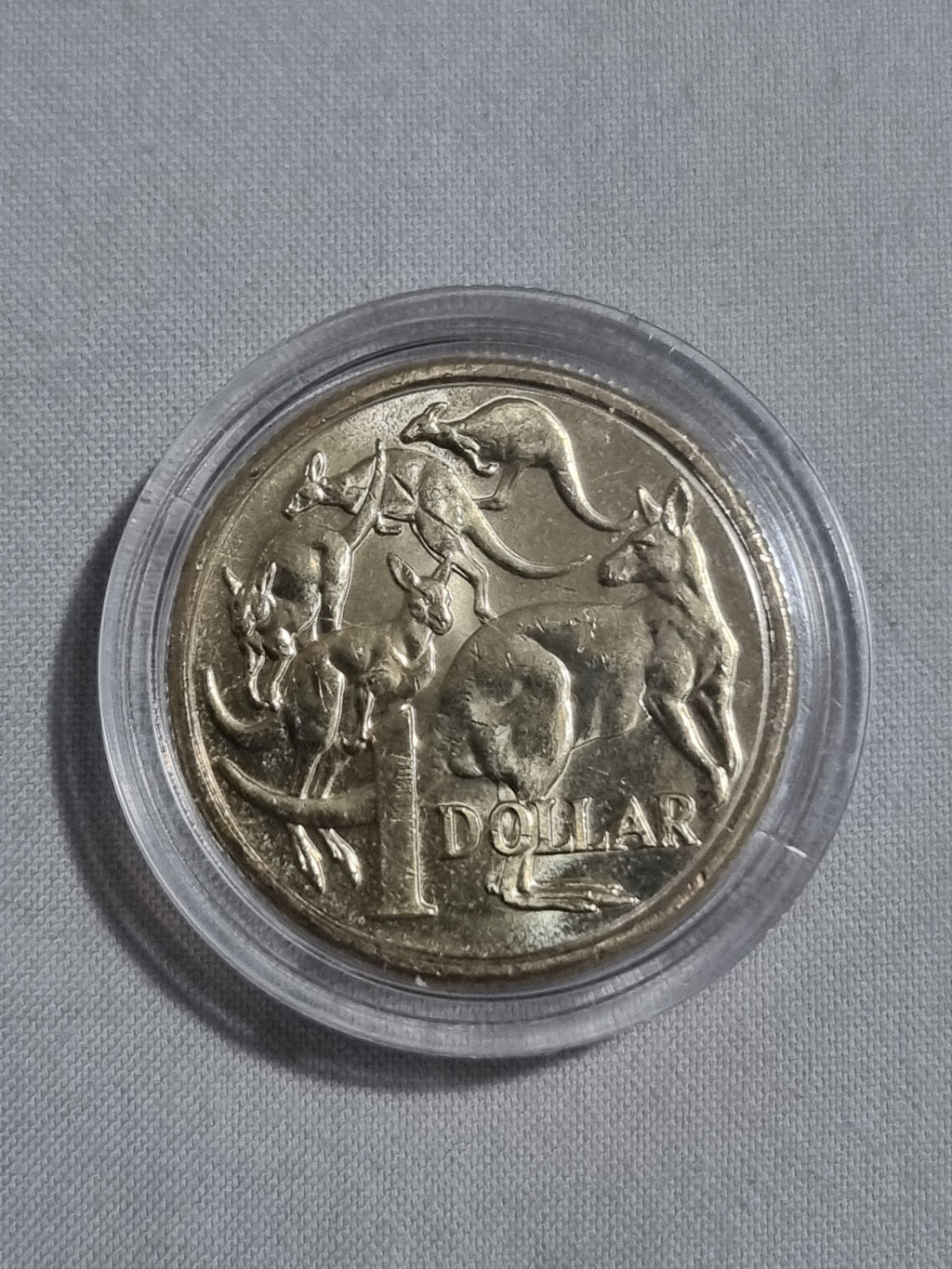2024 $1 One Dollar Coin Uncirculated In Thick Capsule 