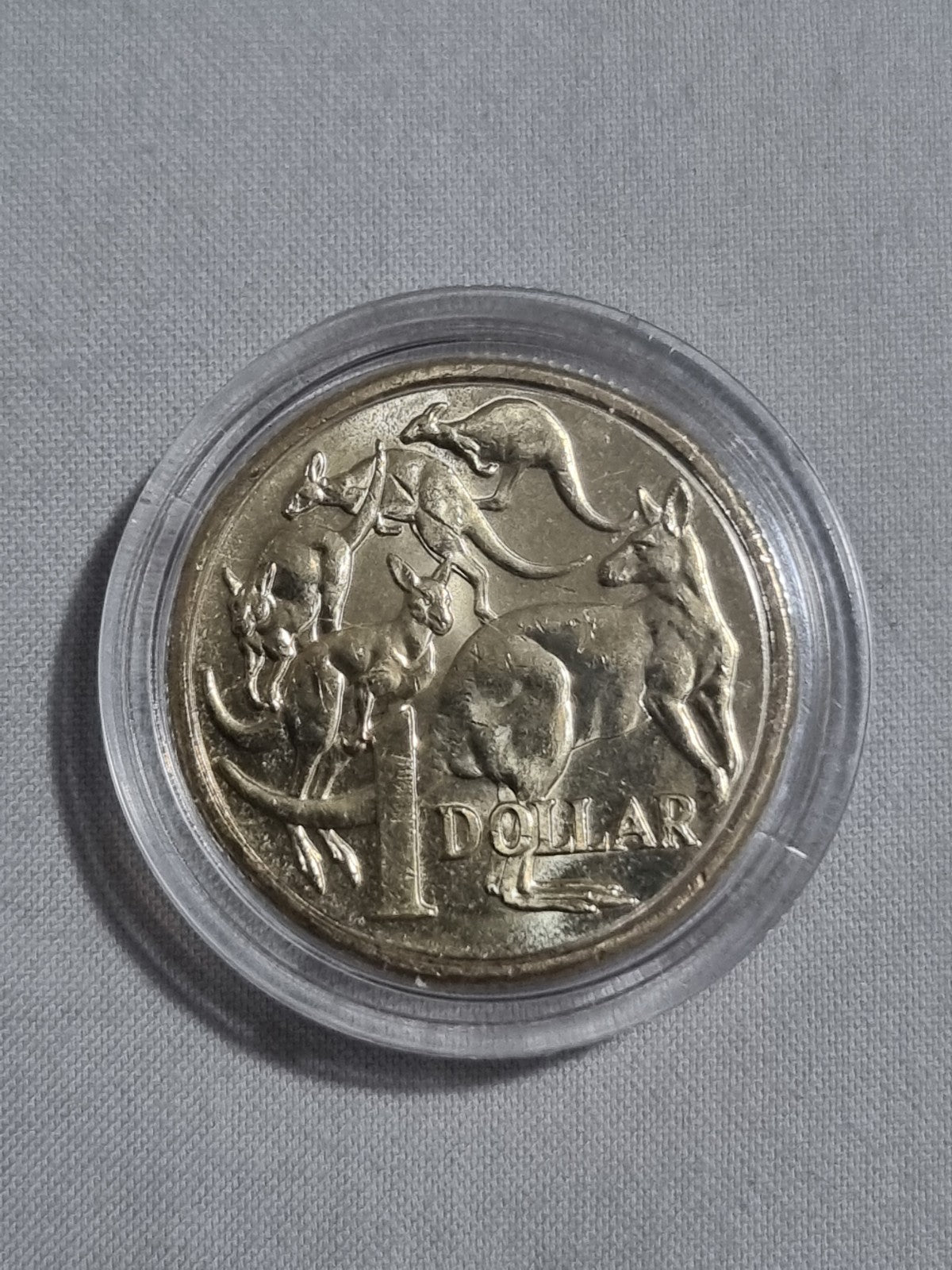2024 $1 One Dollar Coin Uncirculated In Thick Capsule 