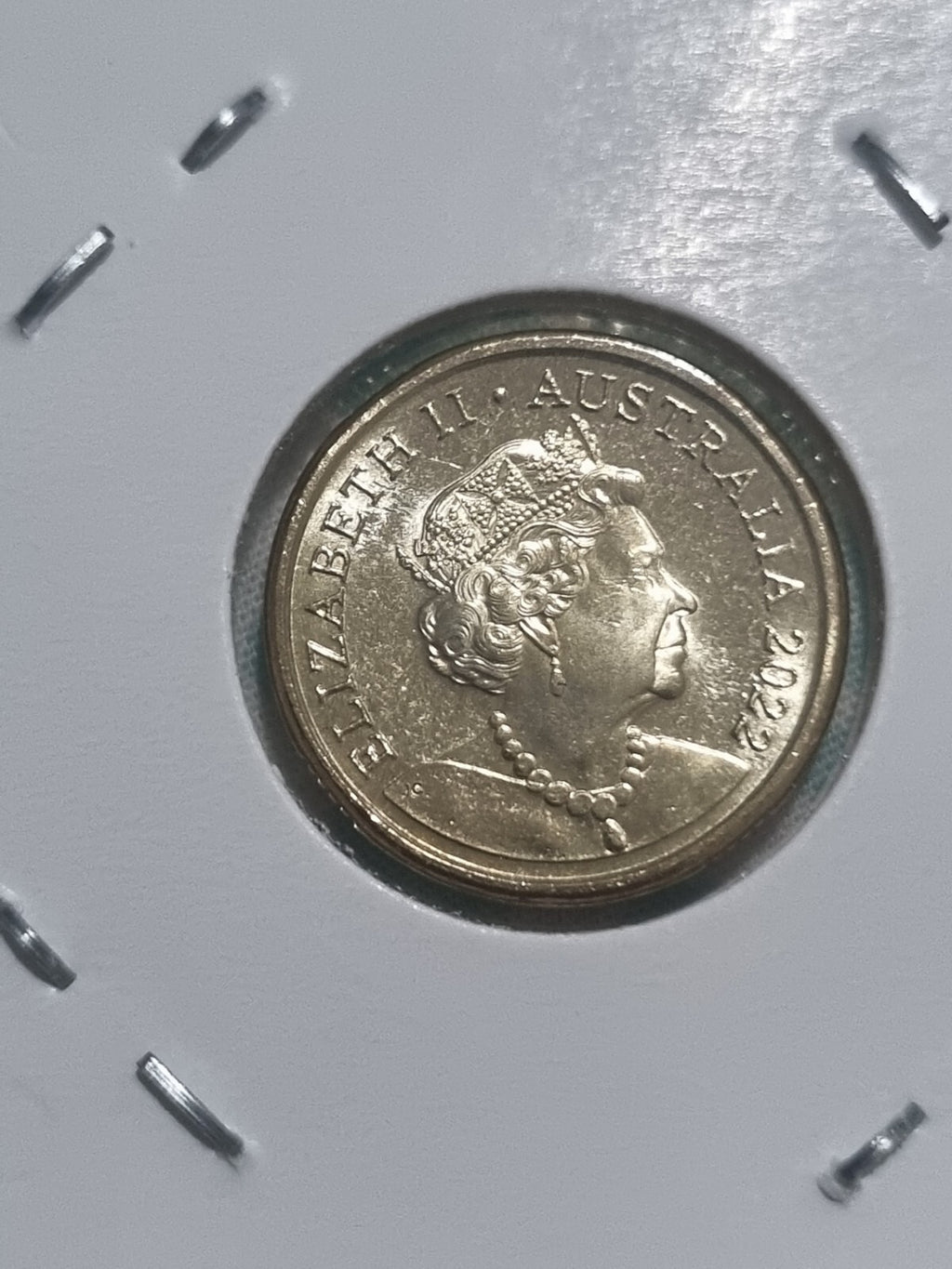 2022 $2 Two Dollar - Honey Bee - Coloured Coin UNC or BETTER - Ex Mint RAM Roll