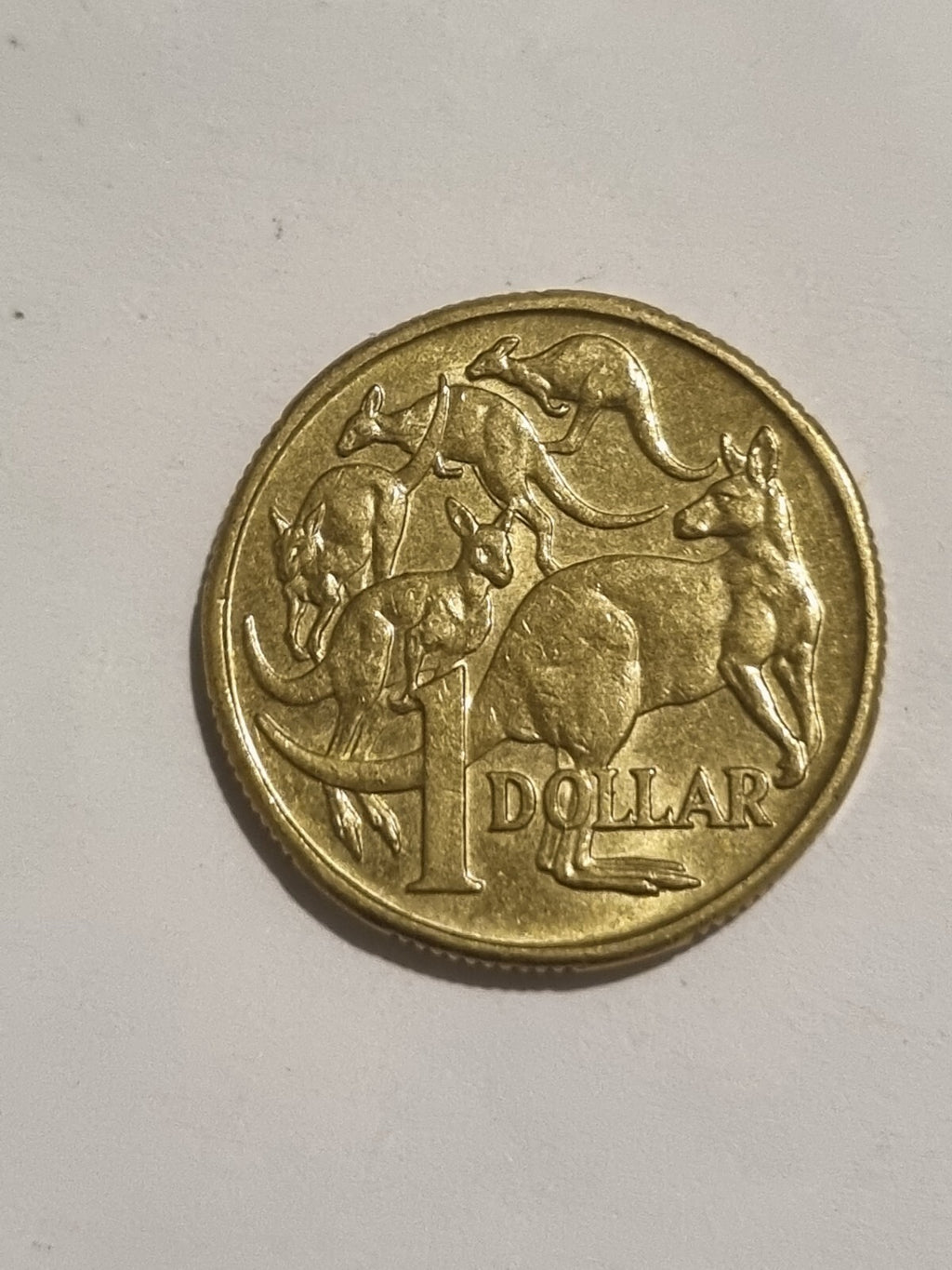 1994 1 Dollar Coin - Mob of Roos - Shiny Circulated Condition