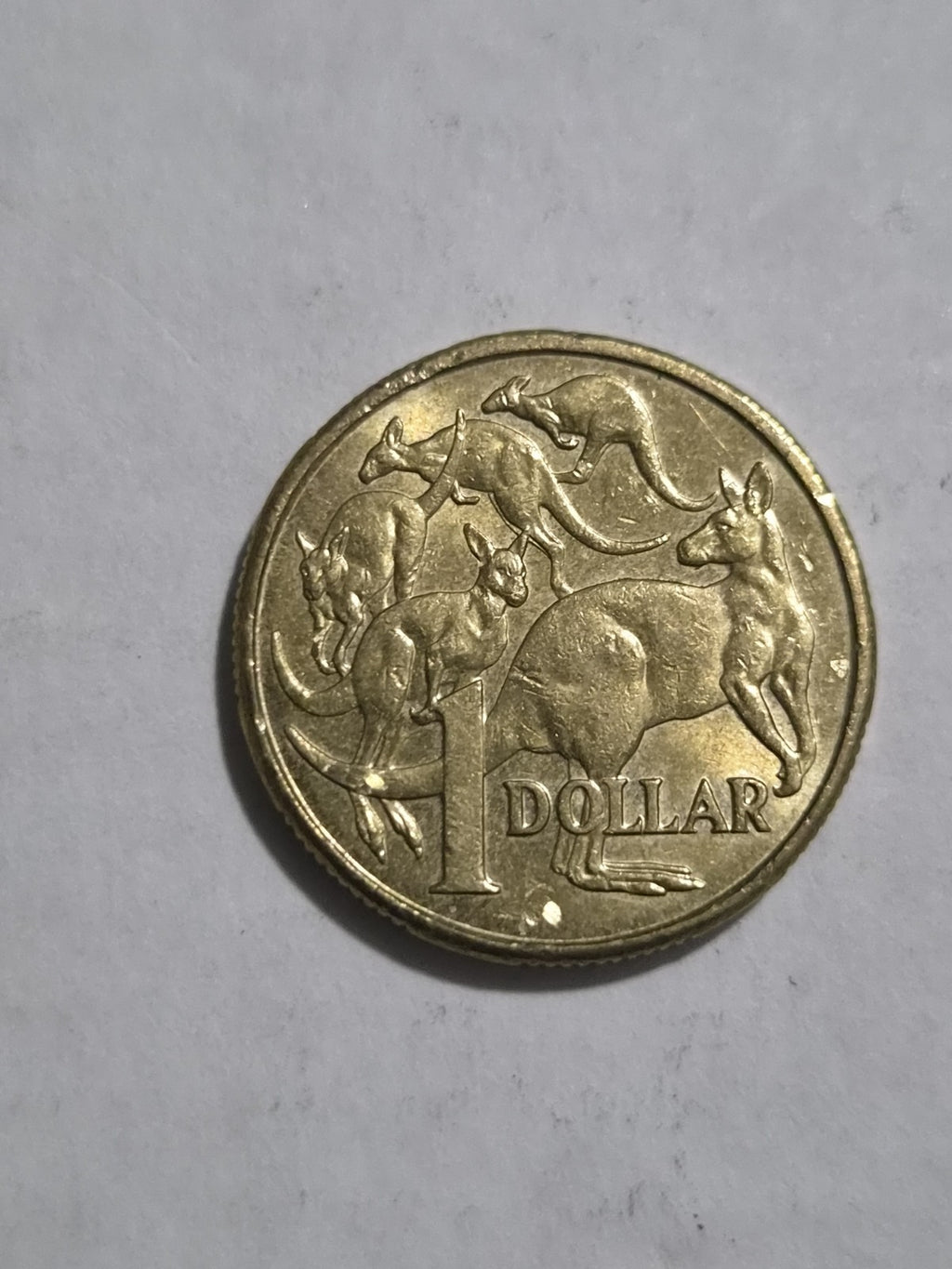 2008 One Dollar Australian Coin Lightly Circulated + Bonus FDC