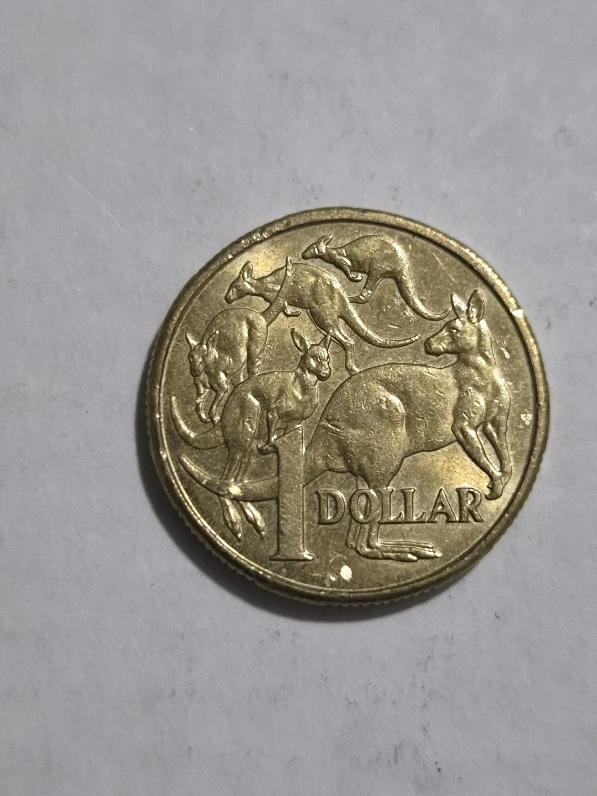 2008 One Dollar Australian Coin Lightly Circulated + Bonus FDC