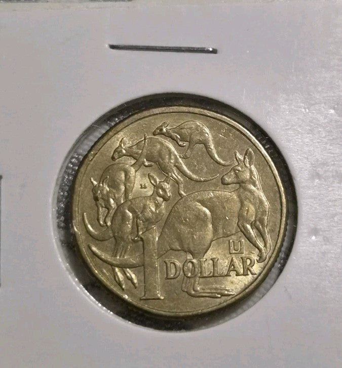 2019 $1 Dollar Coin U Privy - Shiny Circulated 