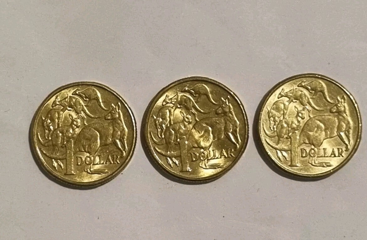 2018 IRB 2019 IRB 2020 JC 1 DOLLAR COINS   $1 -  MOB OF ROOS 