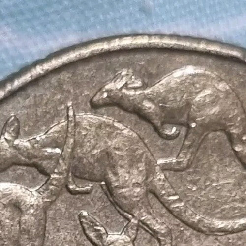  2008 Error $1 CUD One Dollar MOR MOB OF ROOS - Rabbit Ears