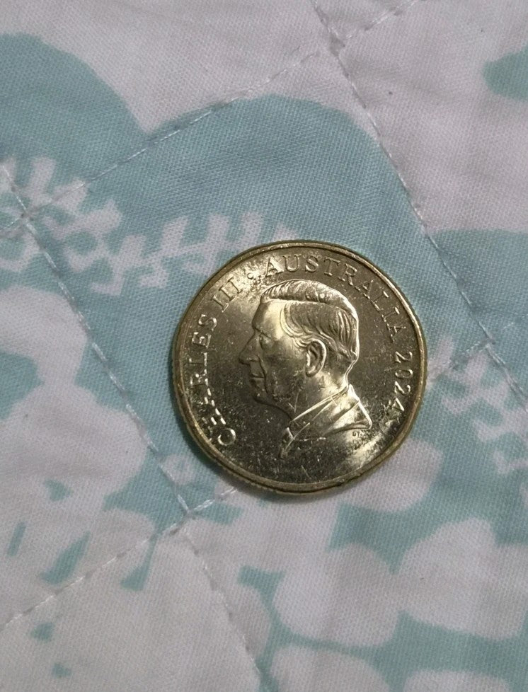 2024 Bluey Bingo $1 Dollar Buck Coin - Lightly Circulated 