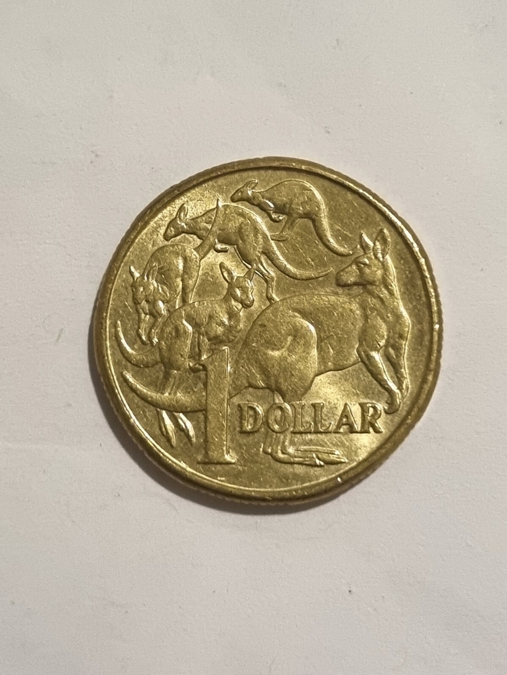 2018 IRB 2019 IRB 2020 JC 1 DOLLAR COINS   $1 -  MOB OF ROOS 