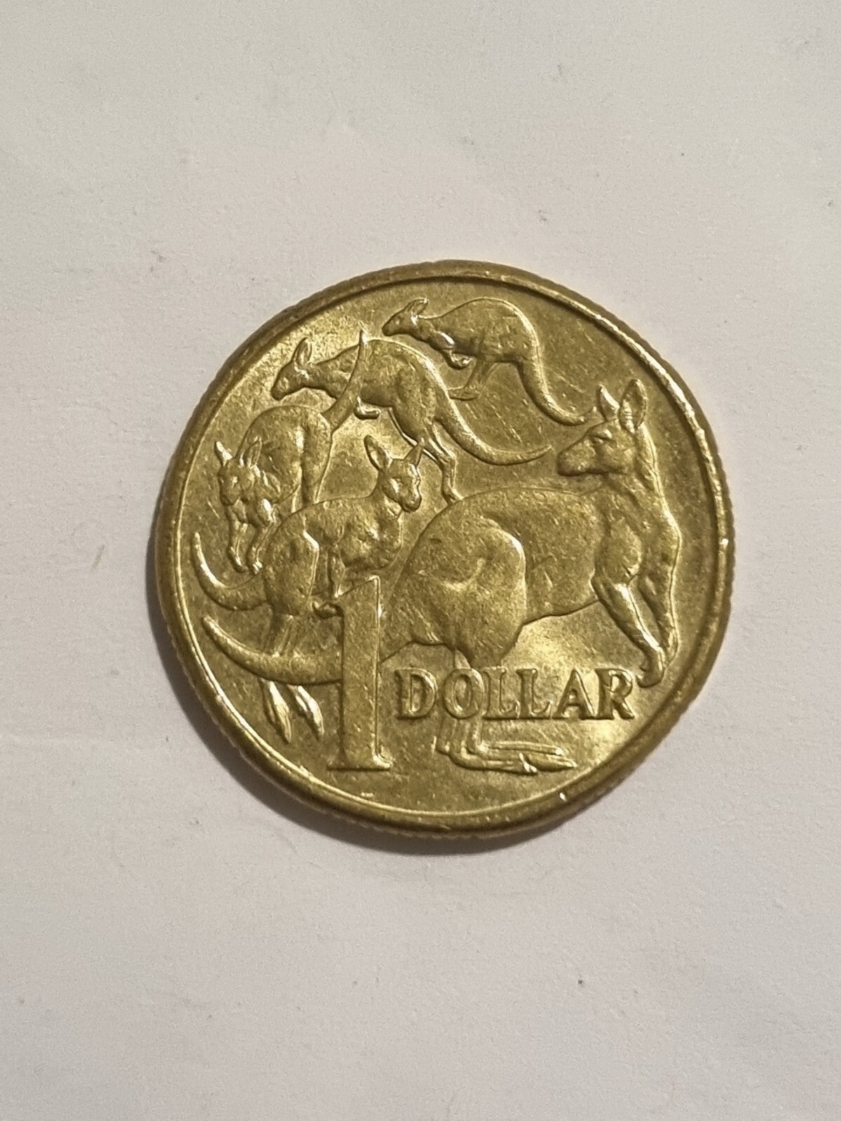 2018 IRB 2019 IRB 2020 JC 1 DOLLAR COINS   $1 -  MOB OF ROOS 