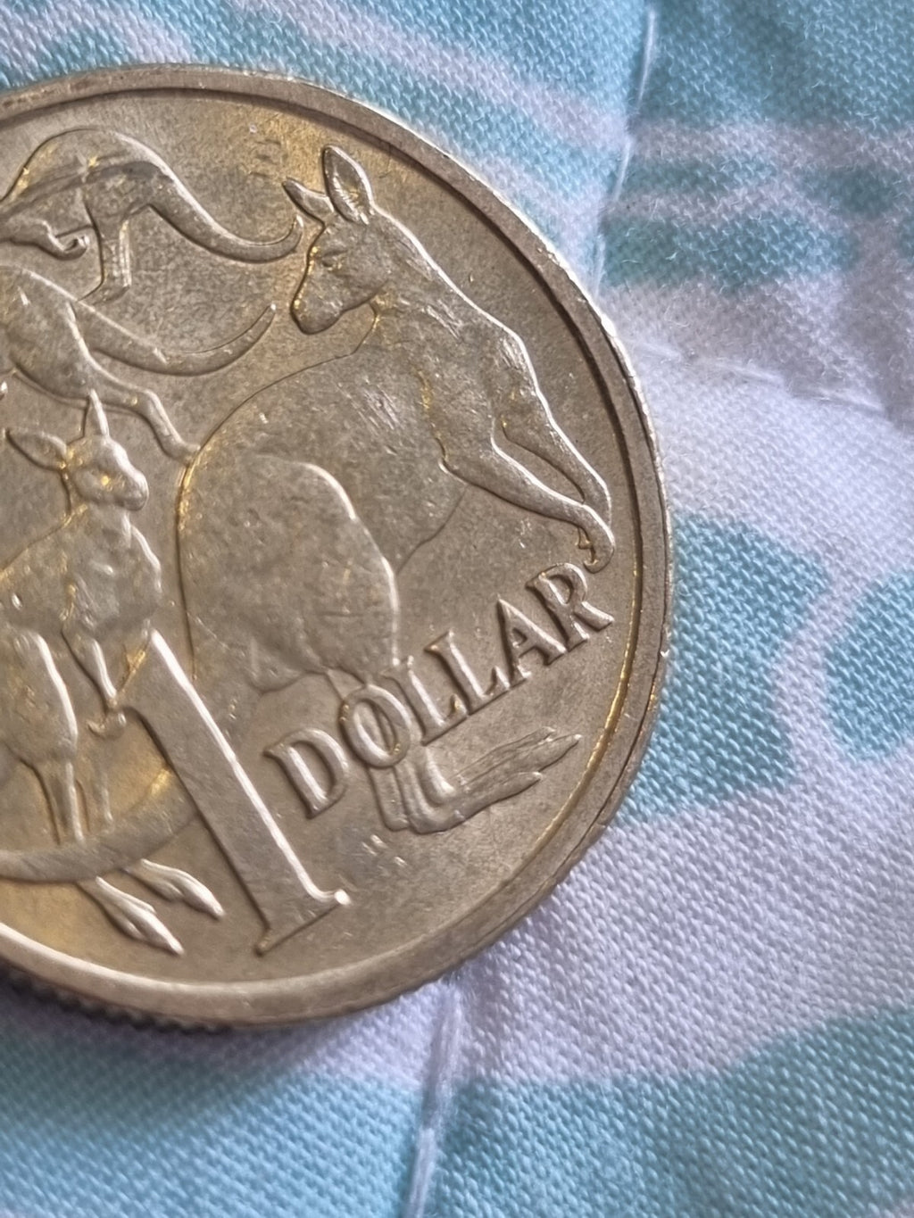 2018 Rim Error - One Dollar $1 Coin 