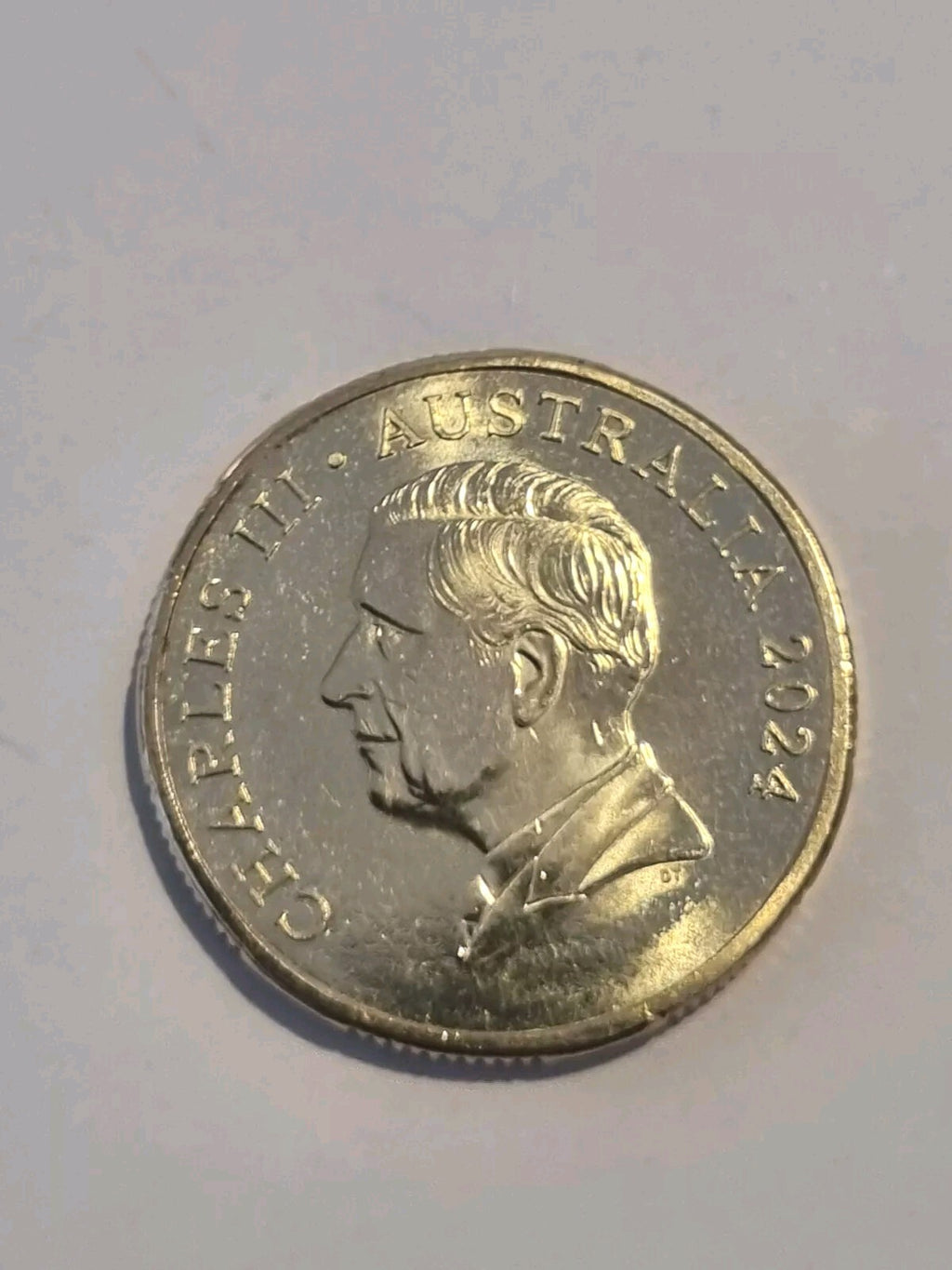 1 x UNC  2024 BLUEY DOLLARBUCKS $1  Coin UNC Limited DOLLAR