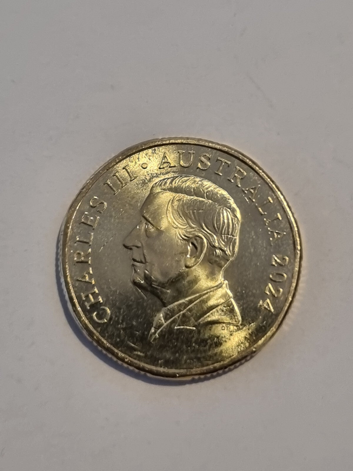 2024 UNC Bluey Bingo $1 Dollar Buck Coin