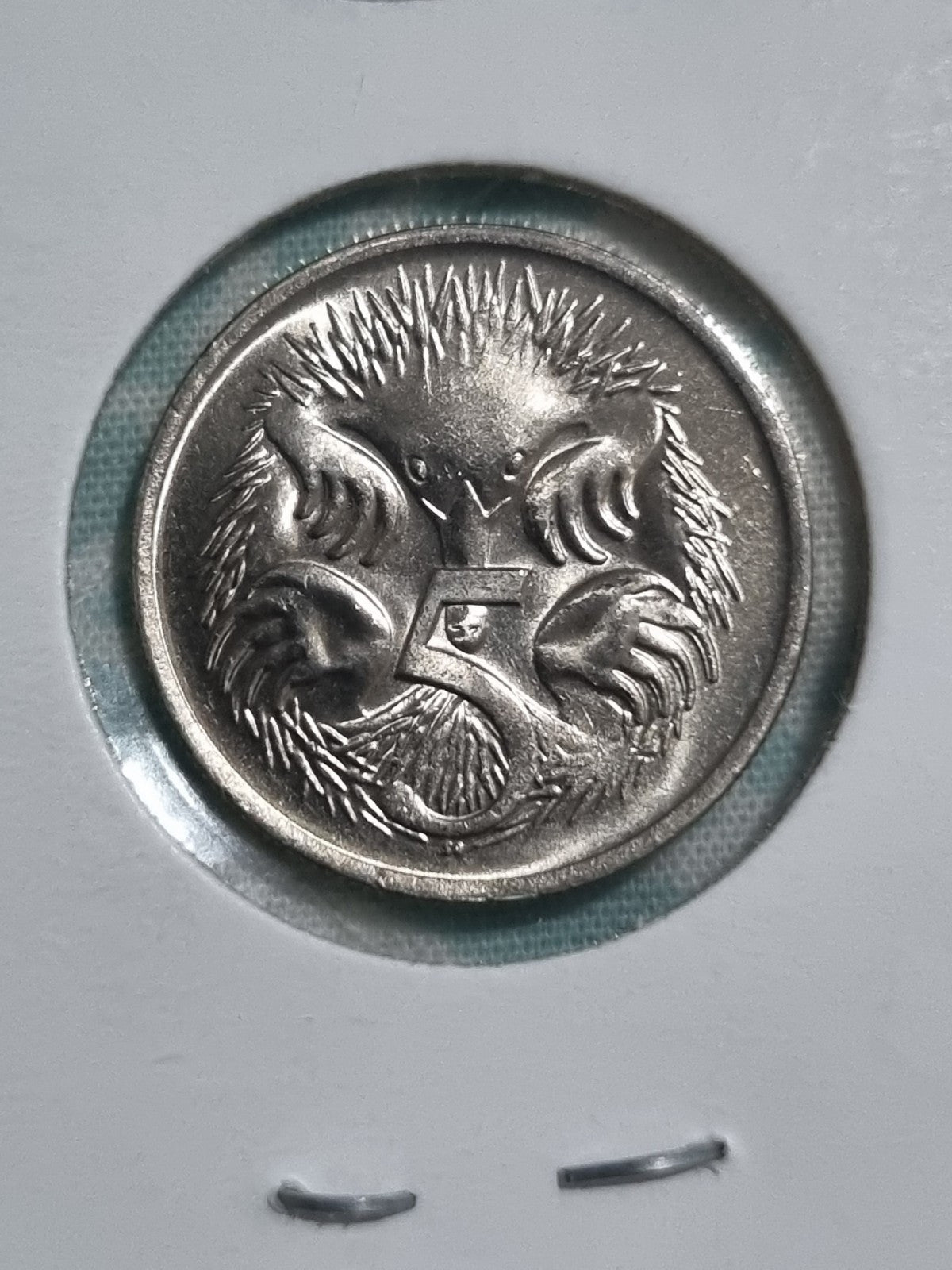 1981 5 Cent Coin UNC in 2x2 Holder 
